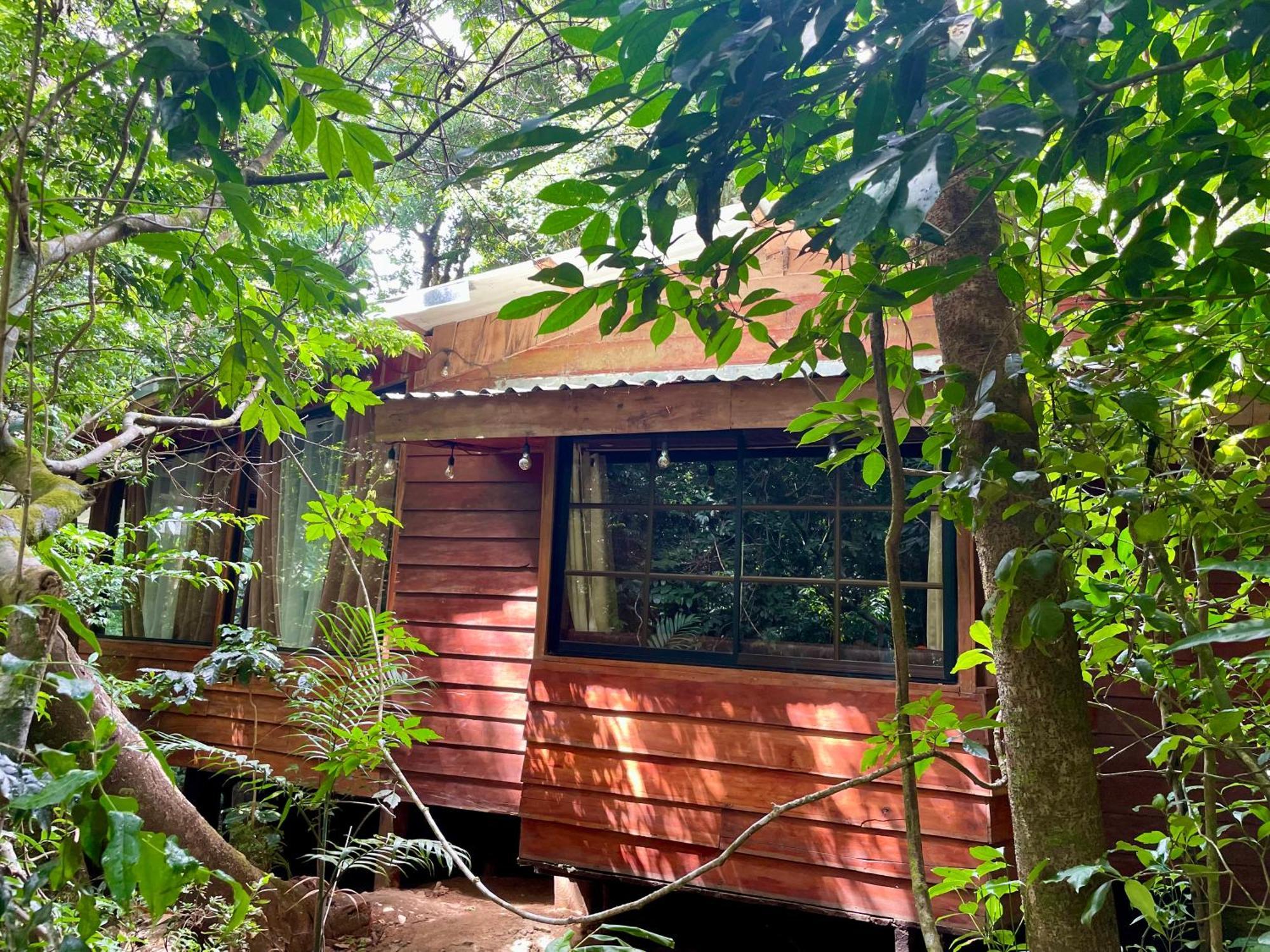 Cabanas La Montana Monteverde Exterior photo